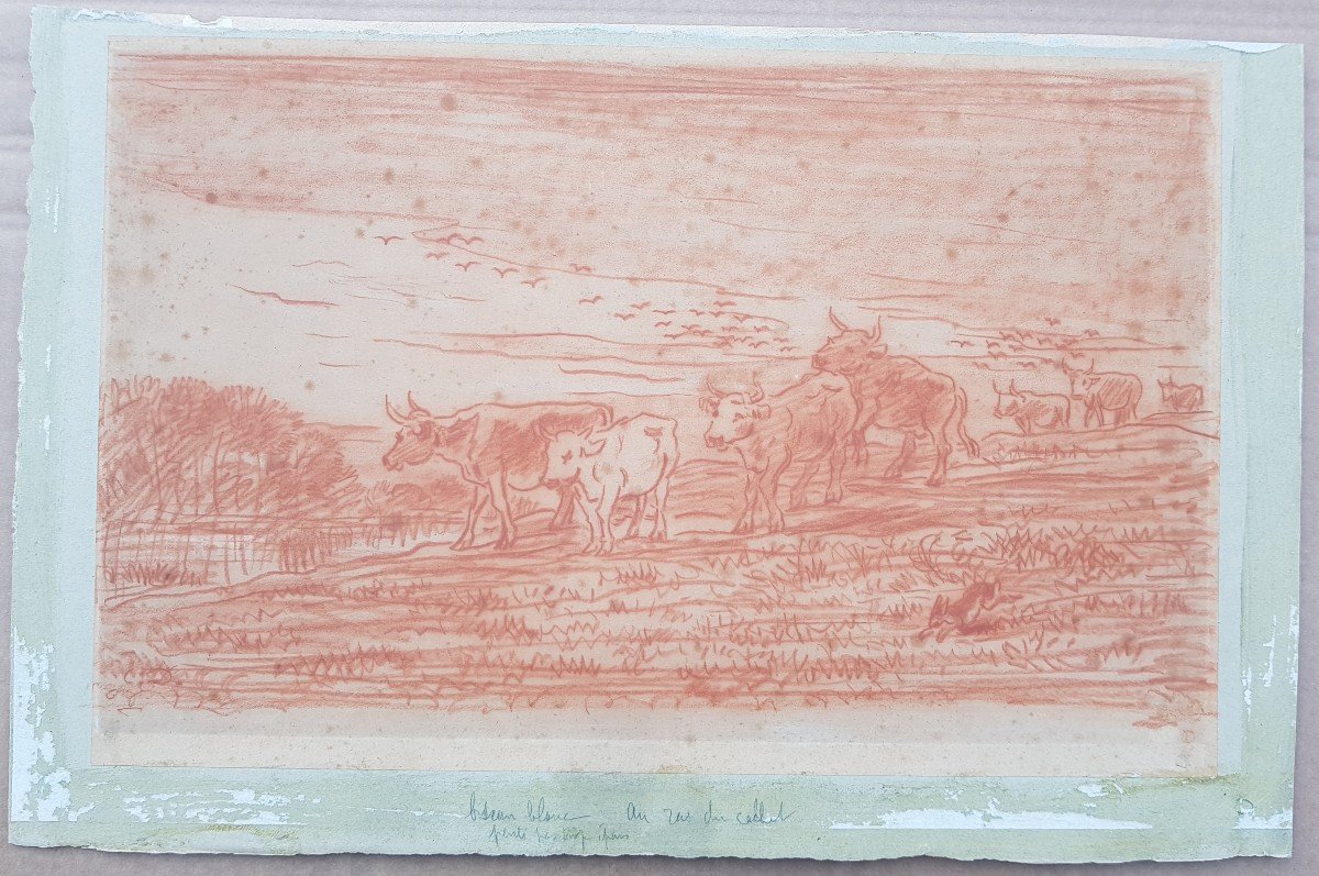 Daubigny - Red Chalk Drawing - Cows On River Bank-photo-3