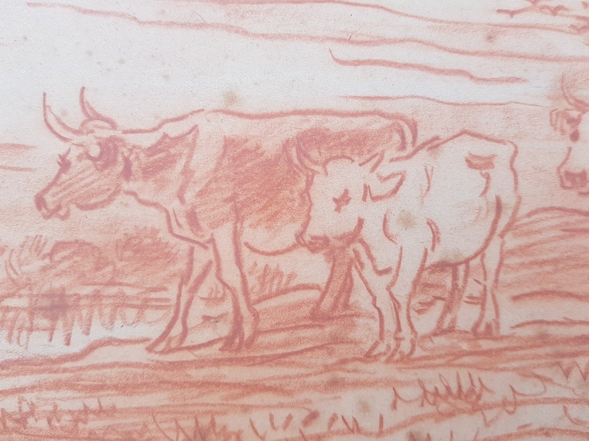 Daubigny - Red Chalk Drawing - Cows On River Bank-photo-3