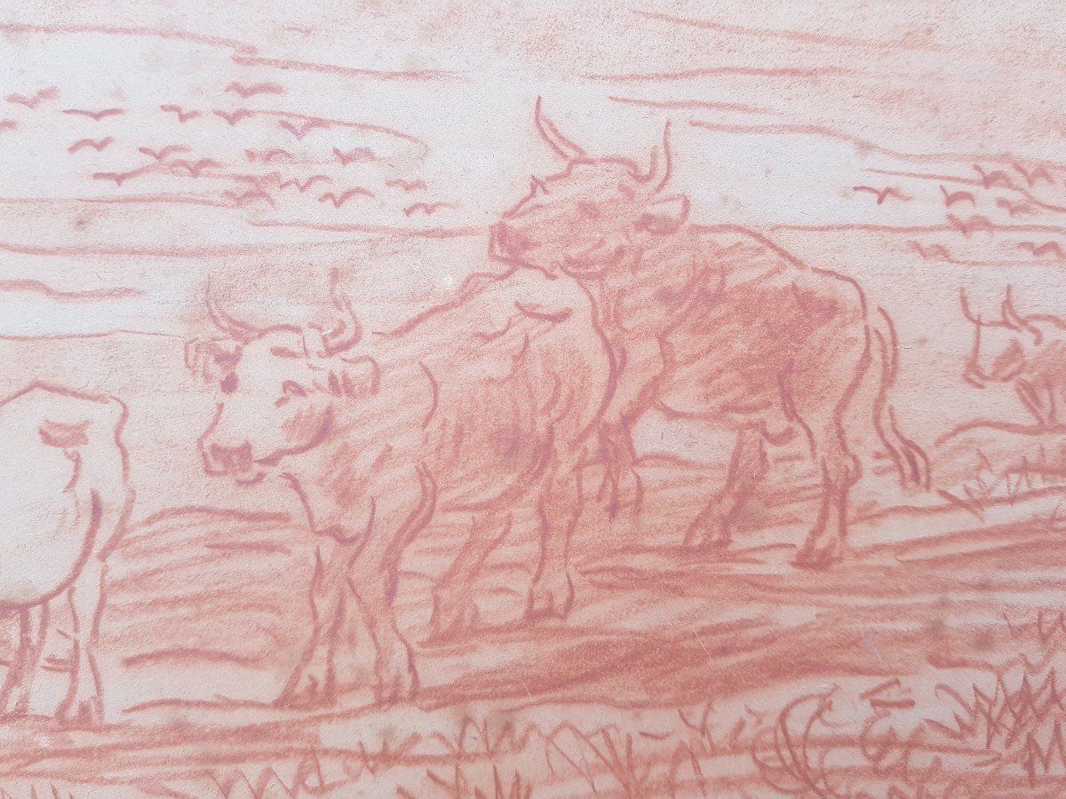 Daubigny - Red Chalk Drawing - Cows On River Bank-photo-4