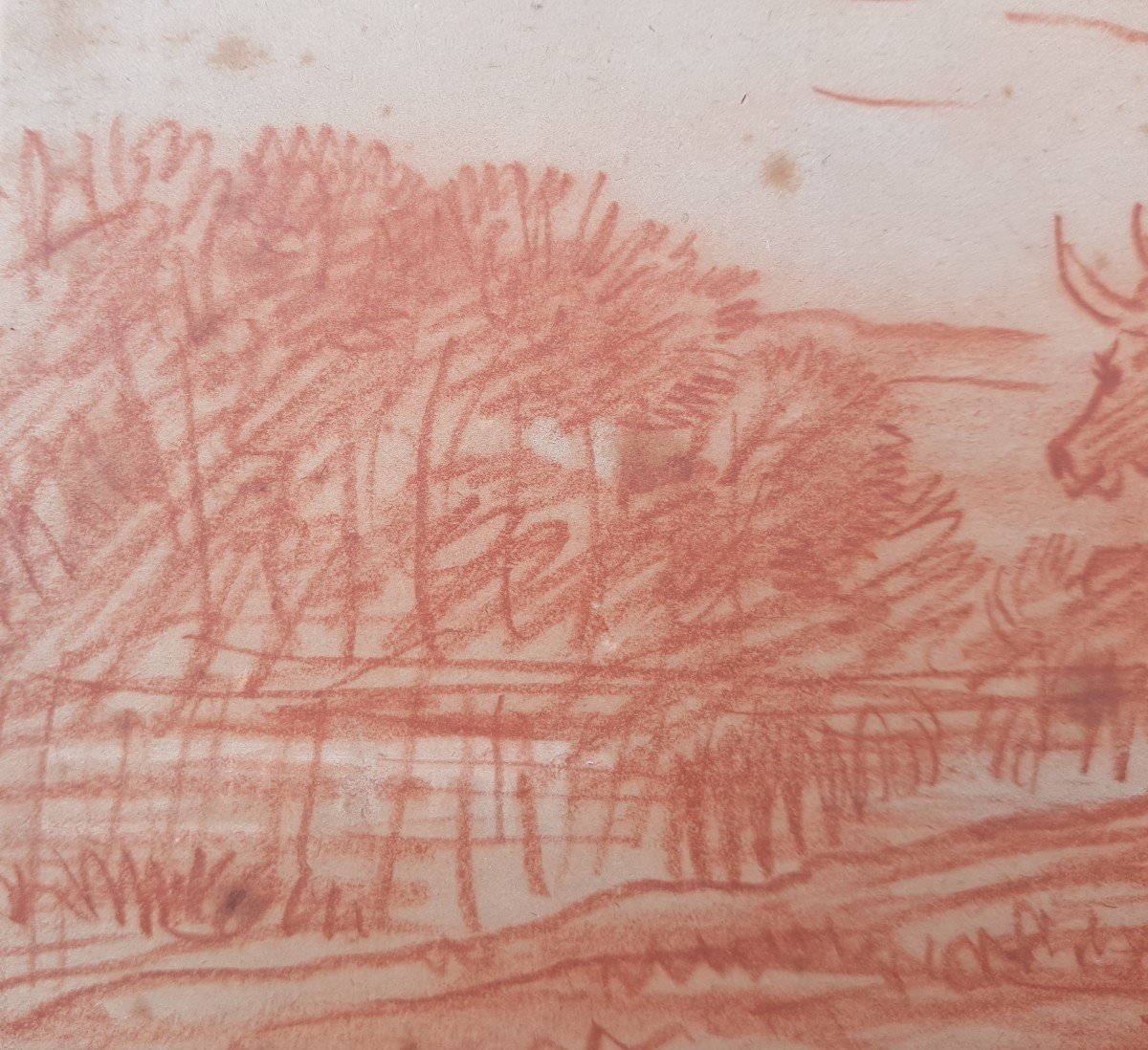 Daubigny - Red Chalk Drawing - Cows On River Bank-photo-5