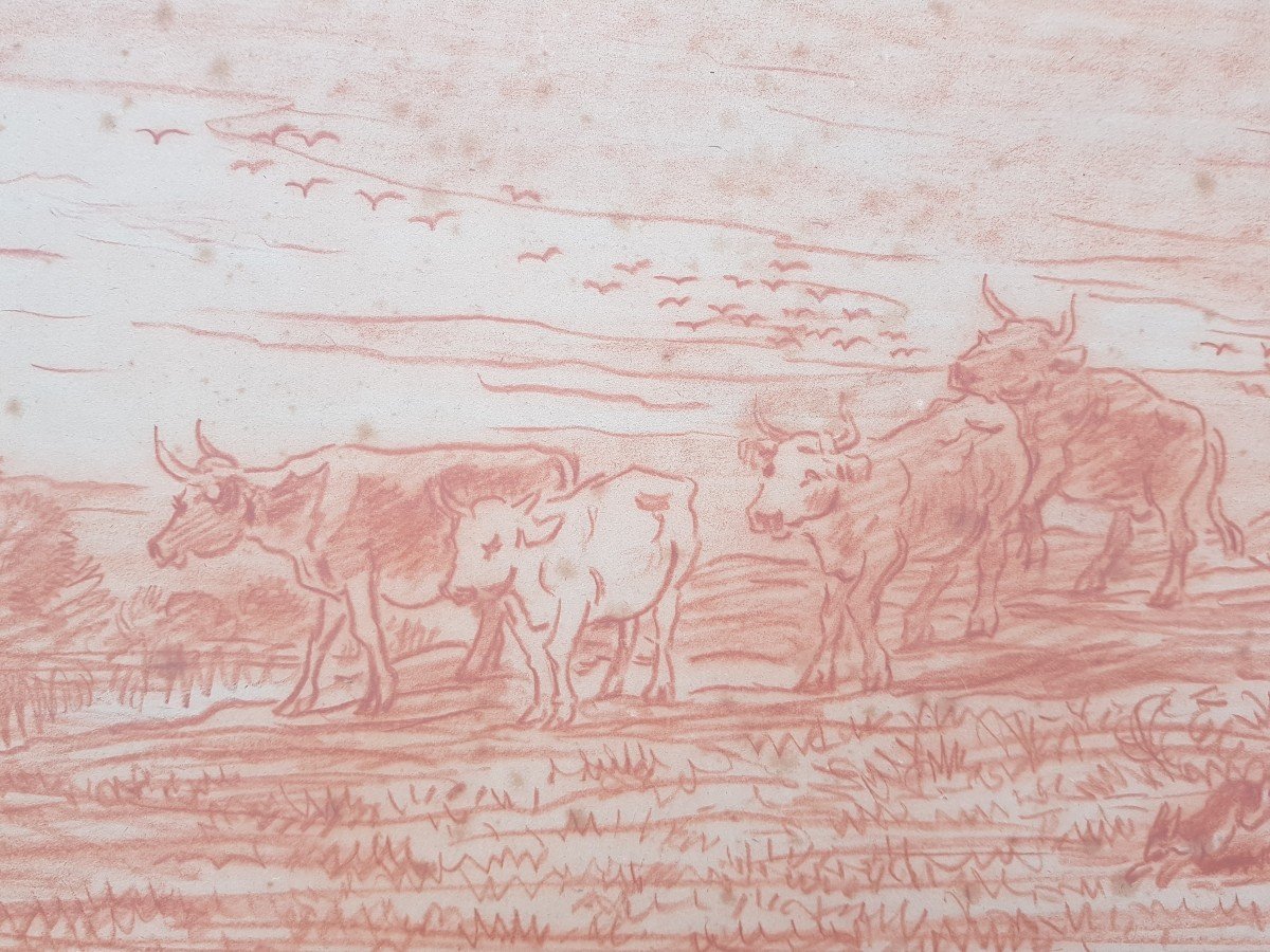 Daubigny - Red Chalk Drawing - Cows On River Bank