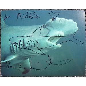 Damien Hirst - Shark Drawing - Monaco 2010