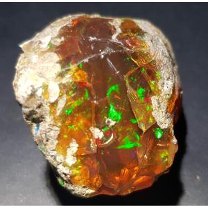 Large Precious Opal - 3.5 Cms - 18 Grs 