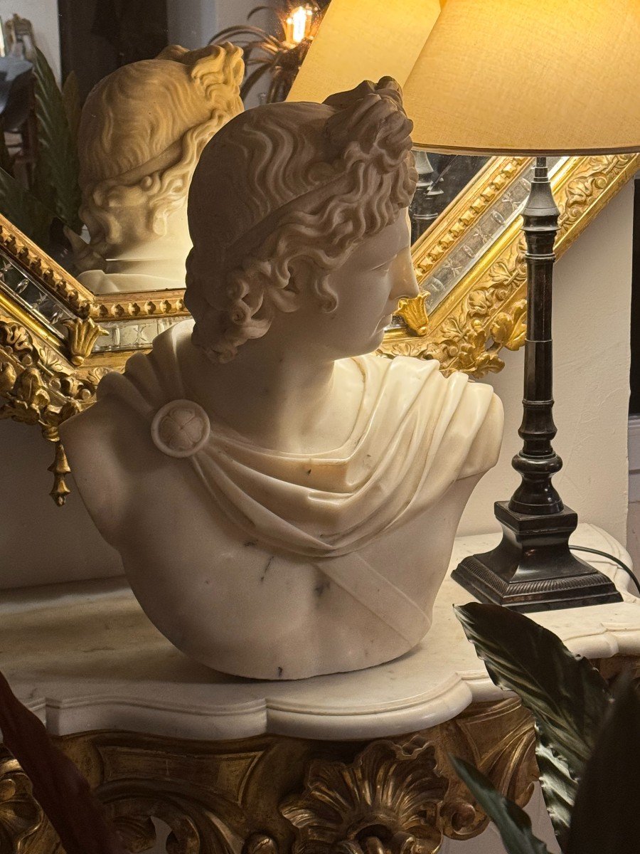 Superb 19th Century White Marble Bust Of Apollo Belvedere-photo-1