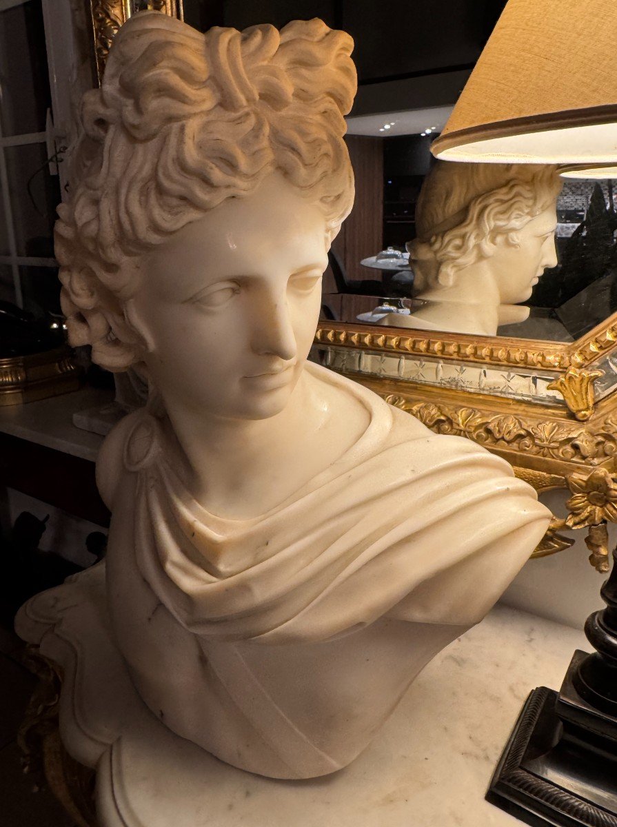 Superb 19th Century White Marble Bust Of Apollo Belvedere-photo-2