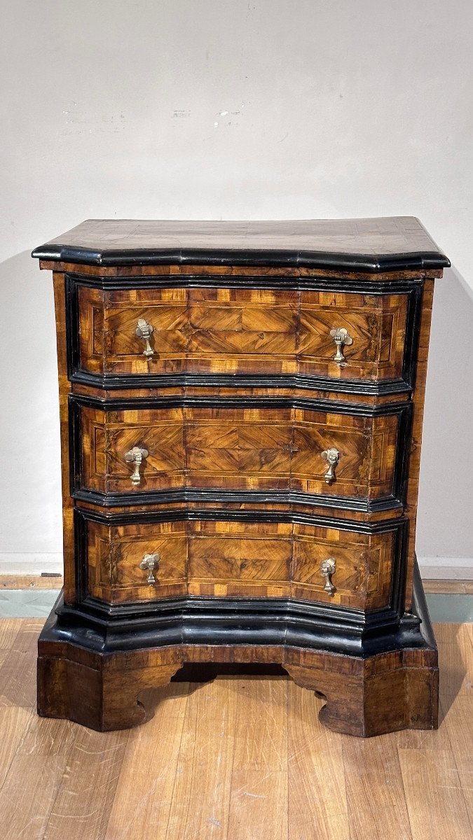 Early 18th Century Pair Of Chests Louis XIV -photo-8