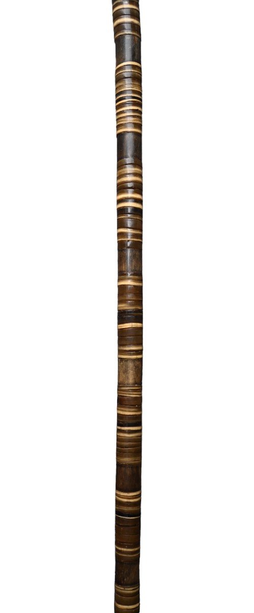 Antique Defense Cane, Stacked Horn, 19th Century-photo-3
