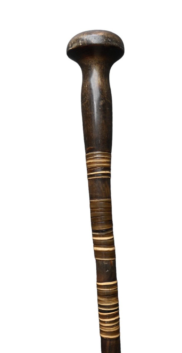 Antique Defense Cane, Stacked Horn, 19th Century