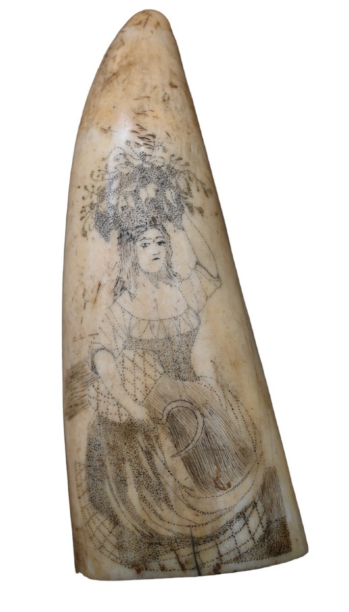 Beautiful Scrimshaw Sperm Whale Tooth, 19th Century