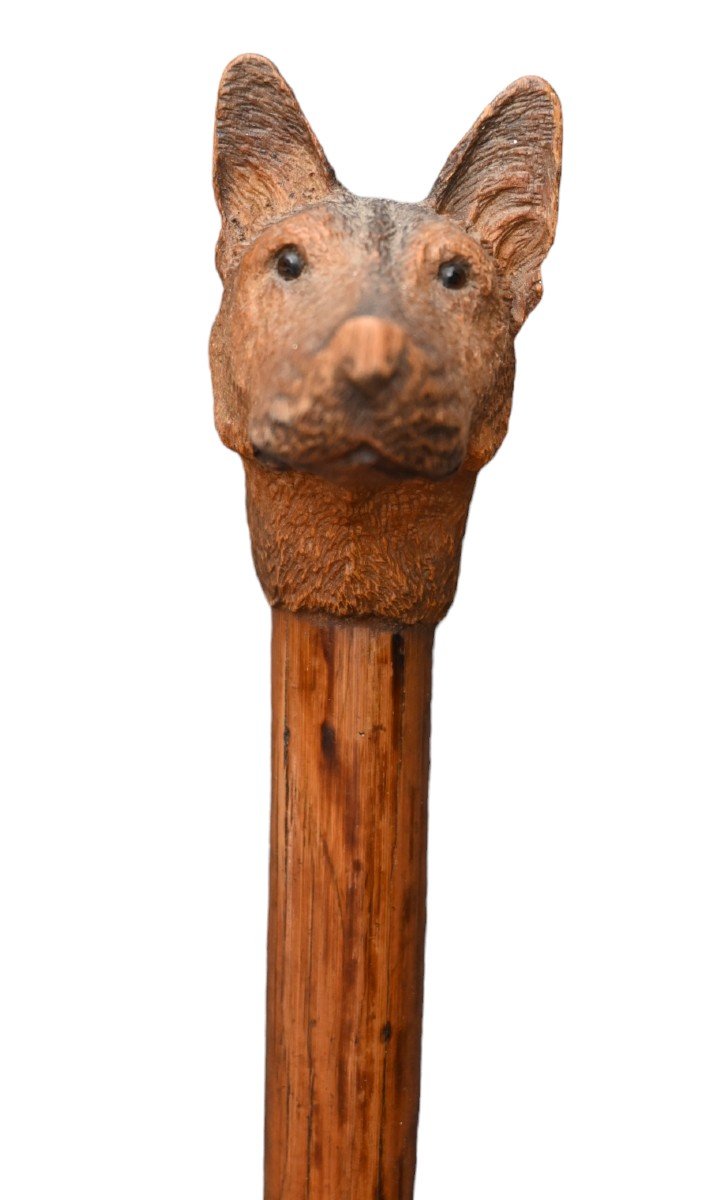 Wooden Cane With Dog Head-photo-1