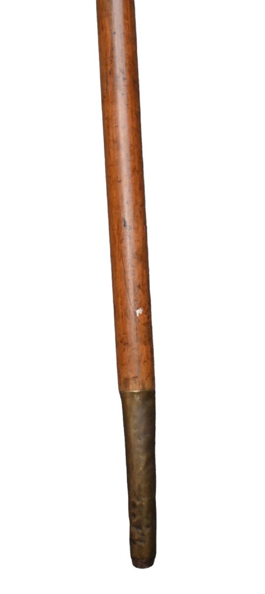 Wooden Cane With Dog Head-photo-3