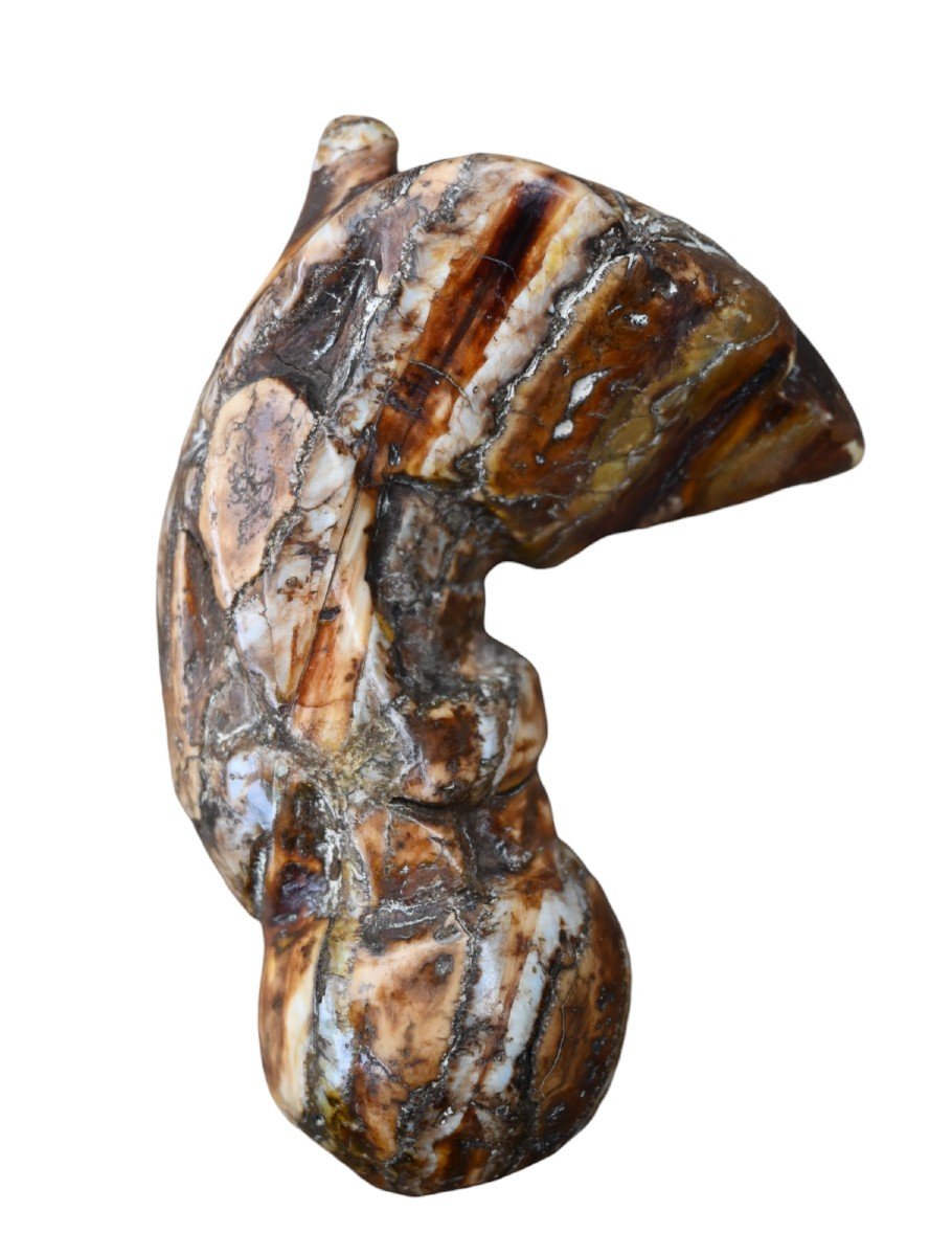 Keris/kris Handle From A Fossilized Mammoth Tooth, Indonesia-photo-3