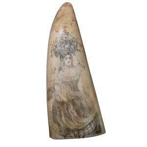 Belle Dent De Cachalot Scrimshaw, 19ème Siècle