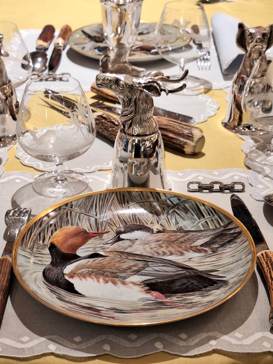 Assiettes Waterbirds Of The World en porcelaine Par Haviland Limoges-photo-2