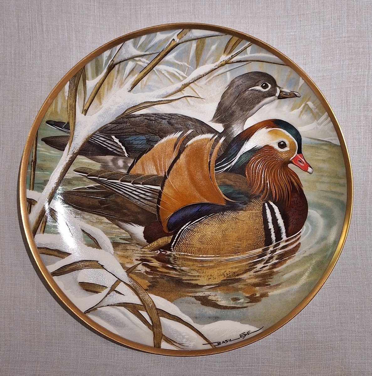 Assiettes Waterbirds Of The World en porcelaine Par Haviland Limoges-photo-1