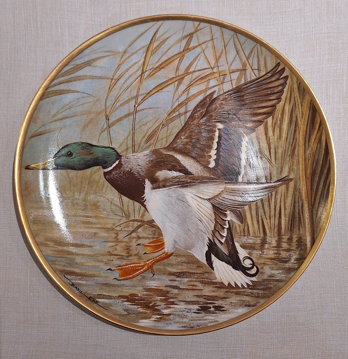 Assiettes Waterbirds Of The World en porcelaine Par Haviland Limoges-photo-2