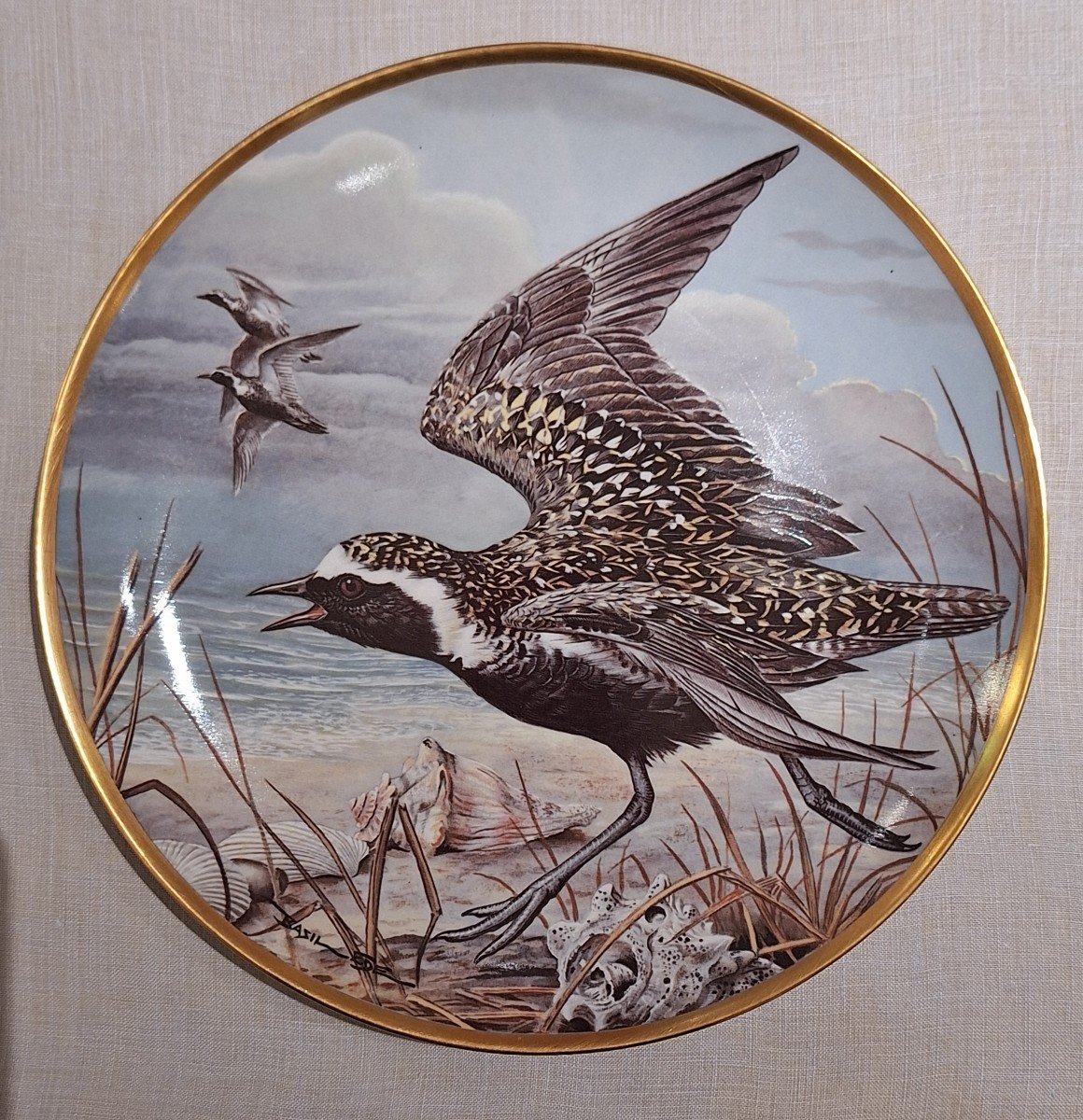 Assiettes Waterbirds Of The World en porcelaine Par Haviland Limoges-photo-3