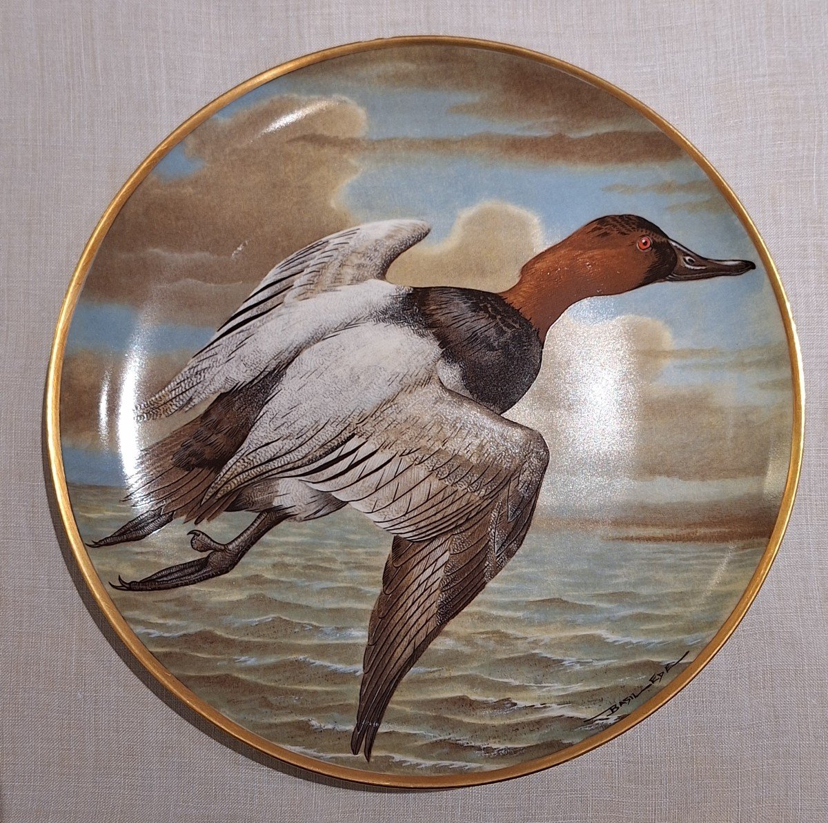 Assiettes Waterbirds Of The World en porcelaine Par Haviland Limoges-photo-4