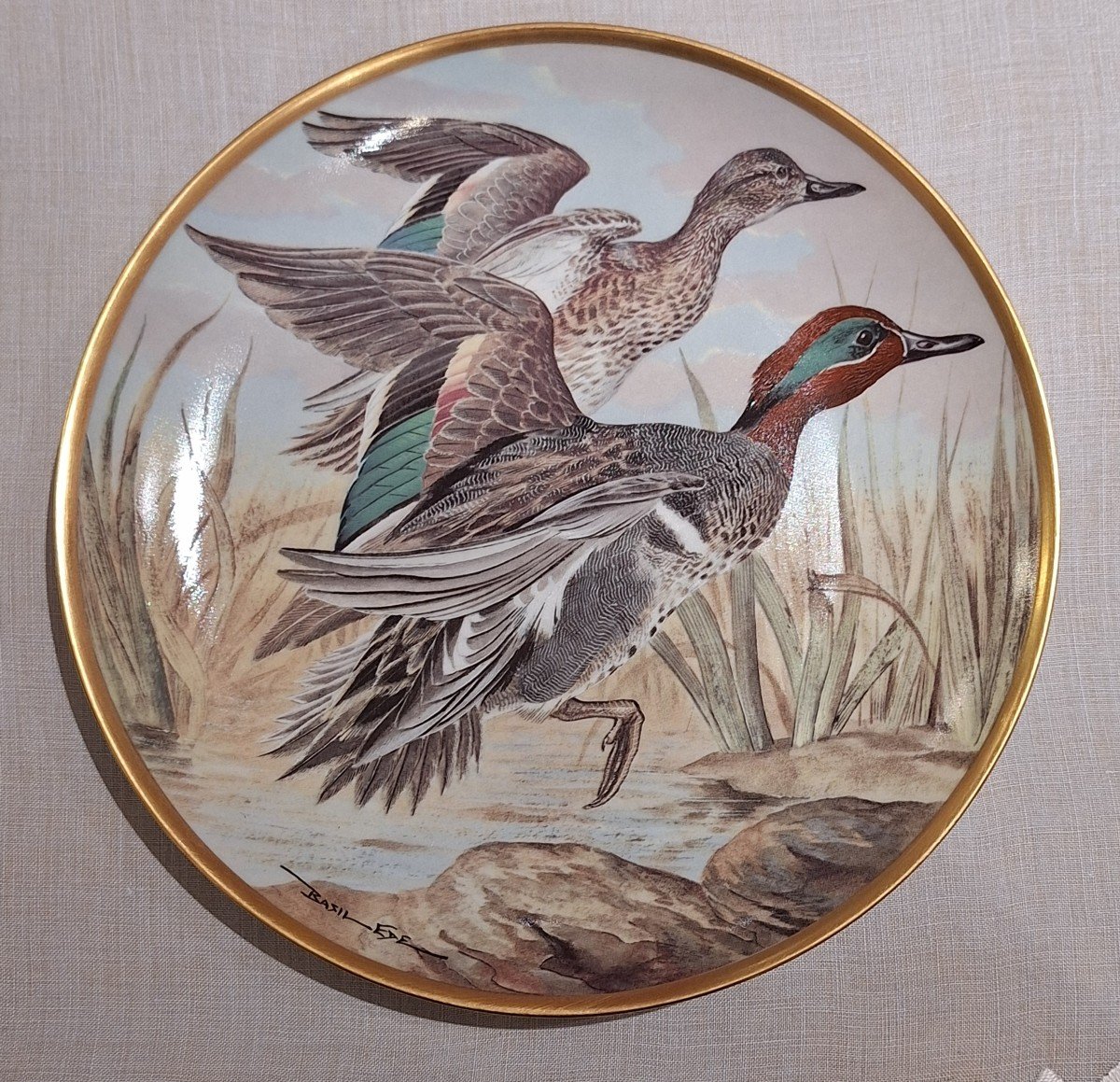 Assiettes Waterbirds Of The World en porcelaine Par Haviland Limoges-photo-5