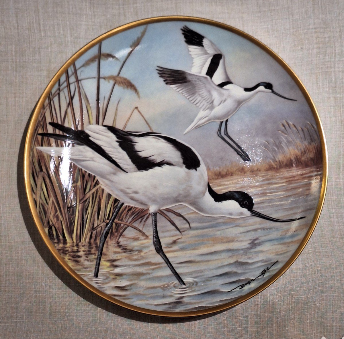 Assiettes Waterbirds Of The World en porcelaine Par Haviland Limoges-photo-6