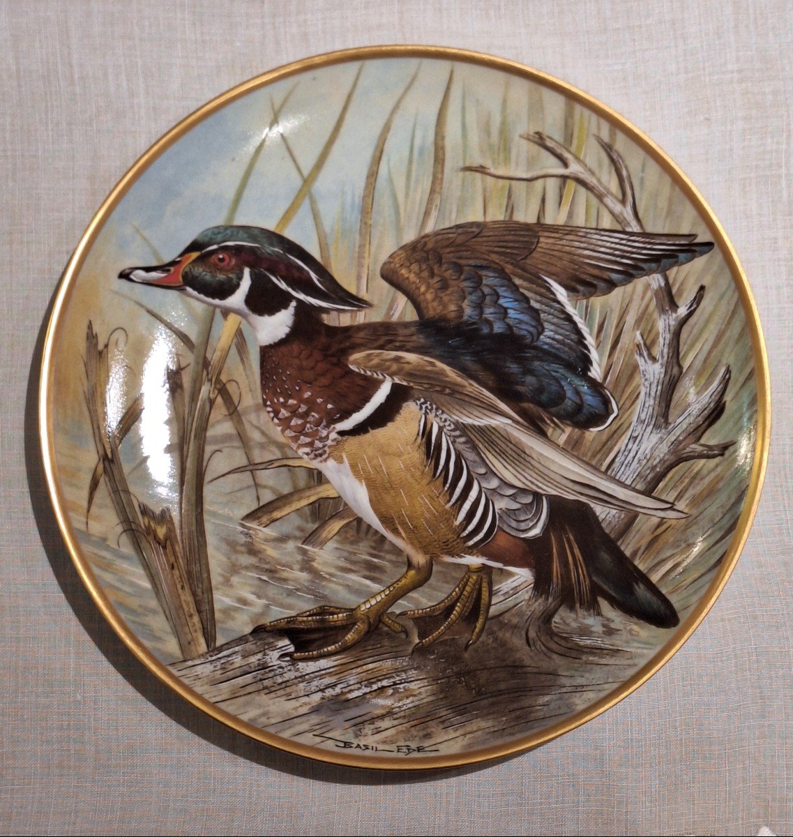 Assiettes Waterbirds Of The World en porcelaine Par Haviland Limoges-photo-7