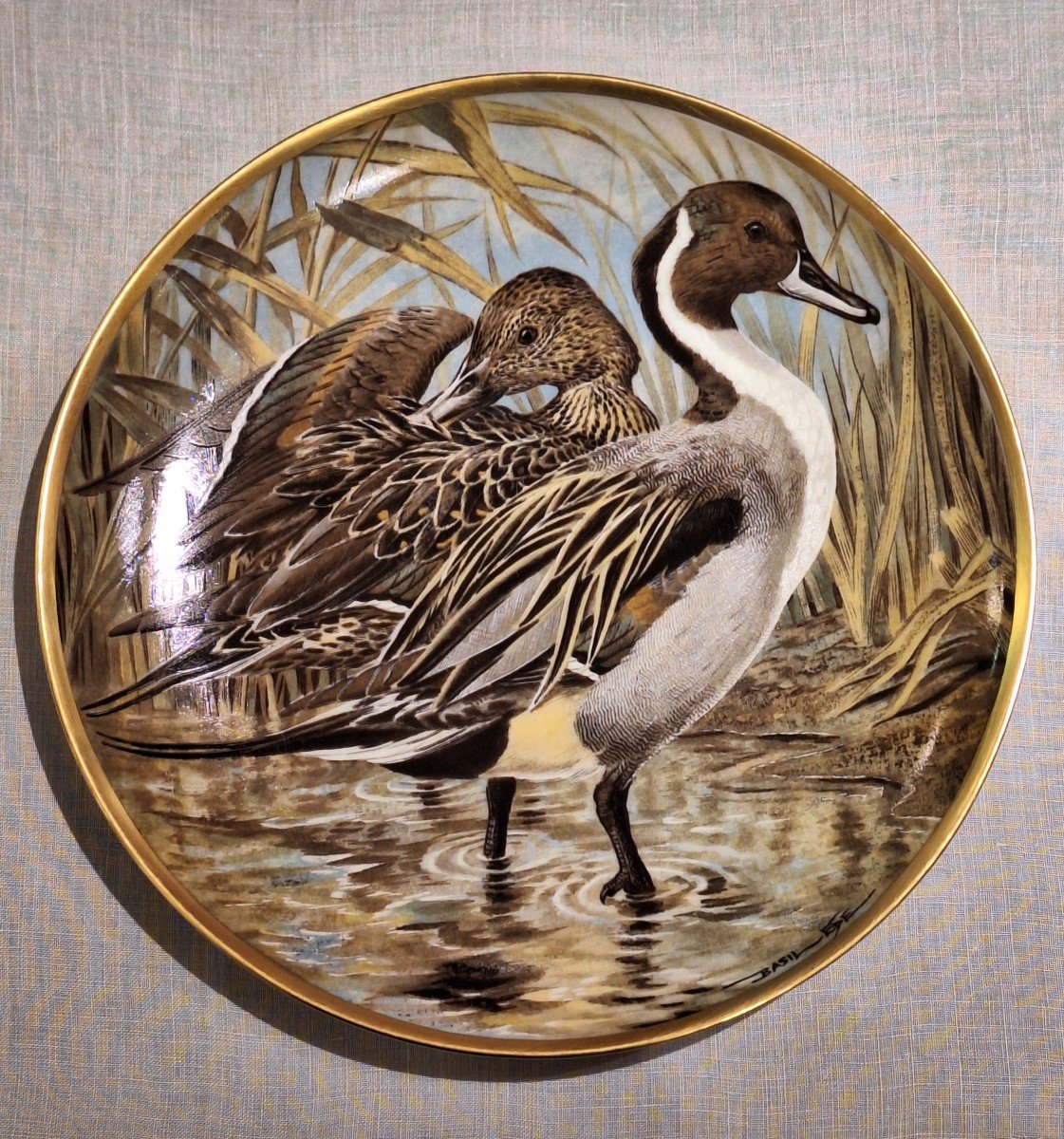 Assiettes Waterbirds Of The World en porcelaine Par Haviland Limoges-photo-8