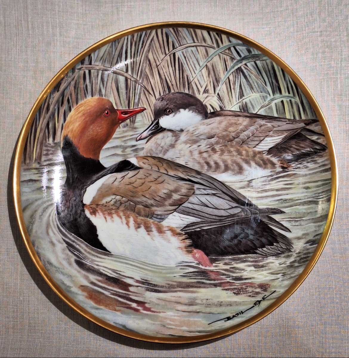 Assiettes Waterbirds Of The World en porcelaine Par Haviland Limoges