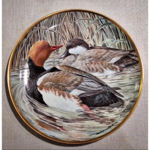 Assiettes Waterbirds Of The World en porcelaine Par Haviland Limoges