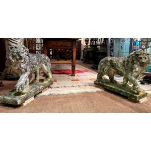 Pair Of Ornamental Lions In Vincenza Stone - Italy - 19th Century.