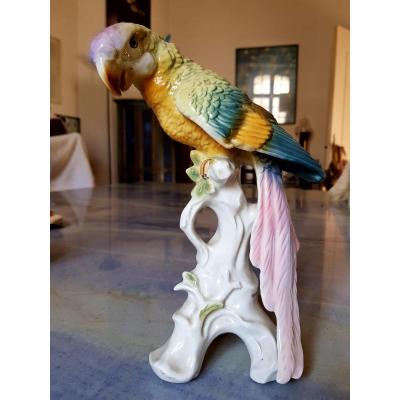 Large Saxe Porcelain Parrot