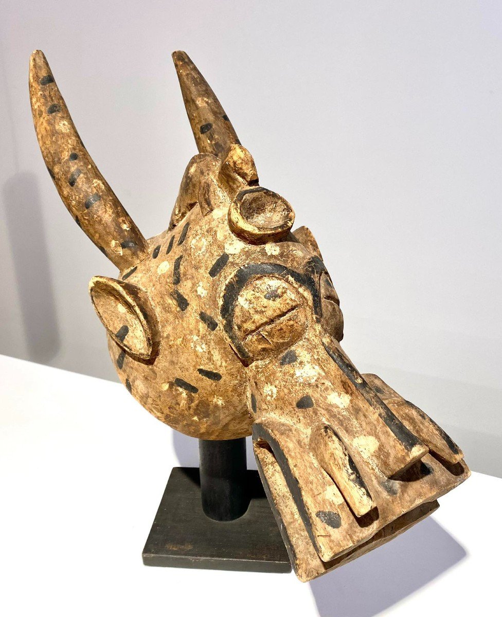 Ancient Zoomorphic Mask Senufo Kponyungo Poro Ivory Coast Early 20th Century / African Art-photo-2