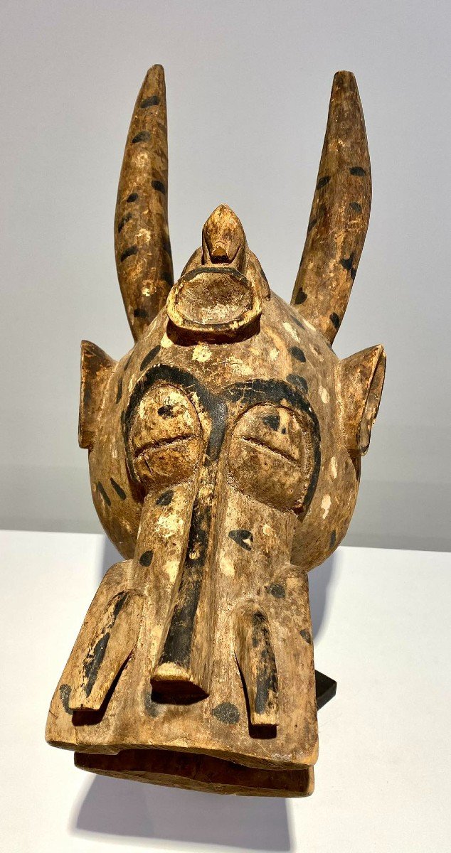 Ancient Zoomorphic Mask Senufo Kponyungo Poro Ivory Coast Early 20th Century / African Art-photo-4