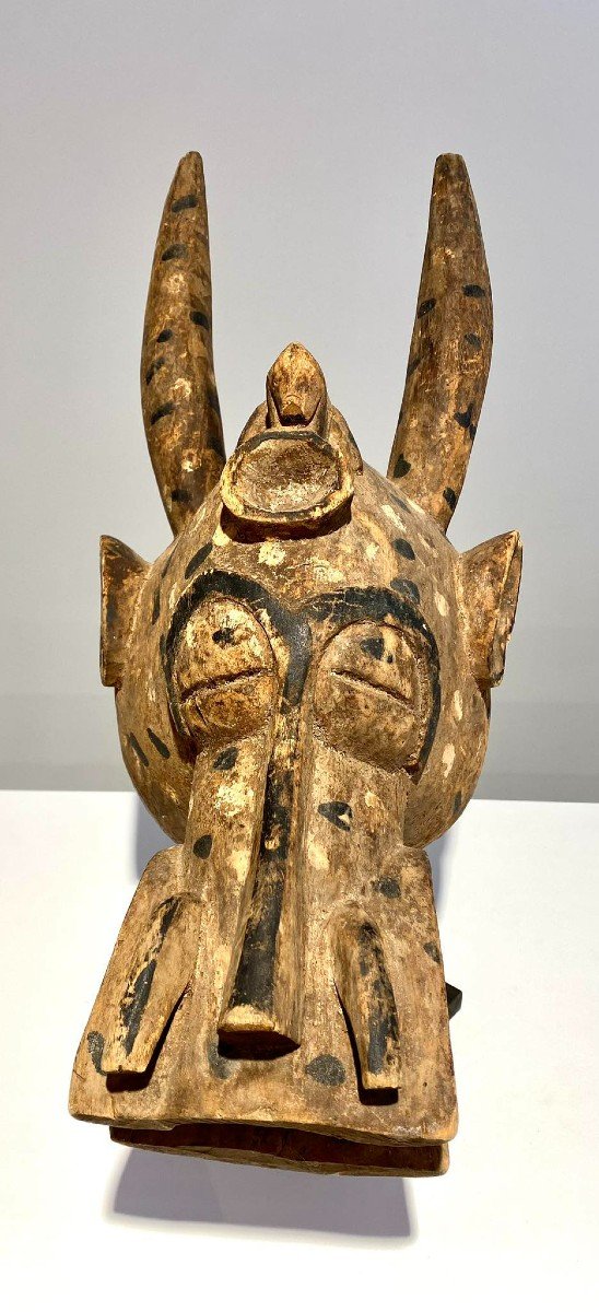 Ancient Zoomorphic Mask Senufo Kponyungo Poro Ivory Coast Early 20th Century / African Art-photo-1