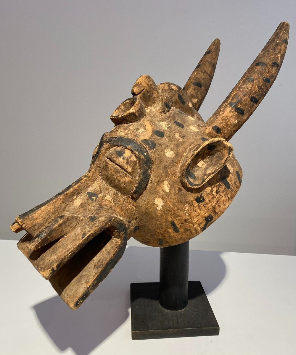 Ancient Zoomorphic Mask Senufo Kponyungo Poro Ivory Coast Early 20th Century / African Art-photo-3