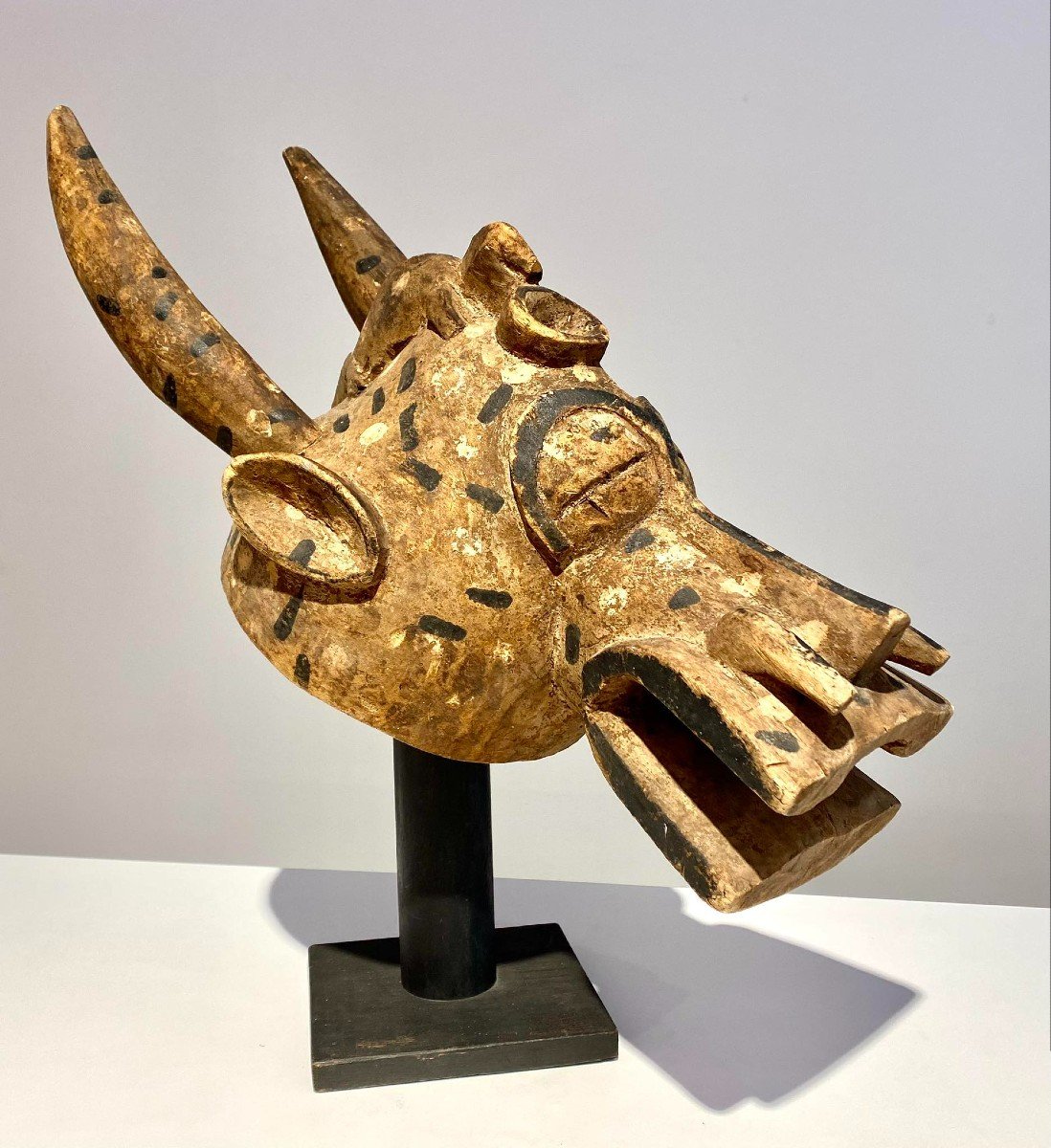 Ancient Zoomorphic Mask Senufo Kponyungo Poro Ivory Coast Early 20th Century / African Art