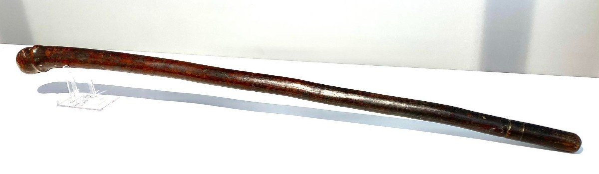 War Club Kanak Tribe Phallus - Art Oceania New Caledonia - 19th Century Melanesia-photo-3