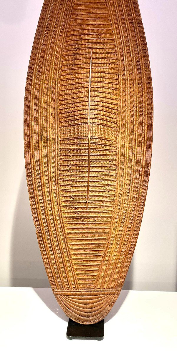 Exceptional Rare Ngiri Lobala Mabo Ngbaka Shield - Dr Congo - 19th Century - Museum Quality-photo-2