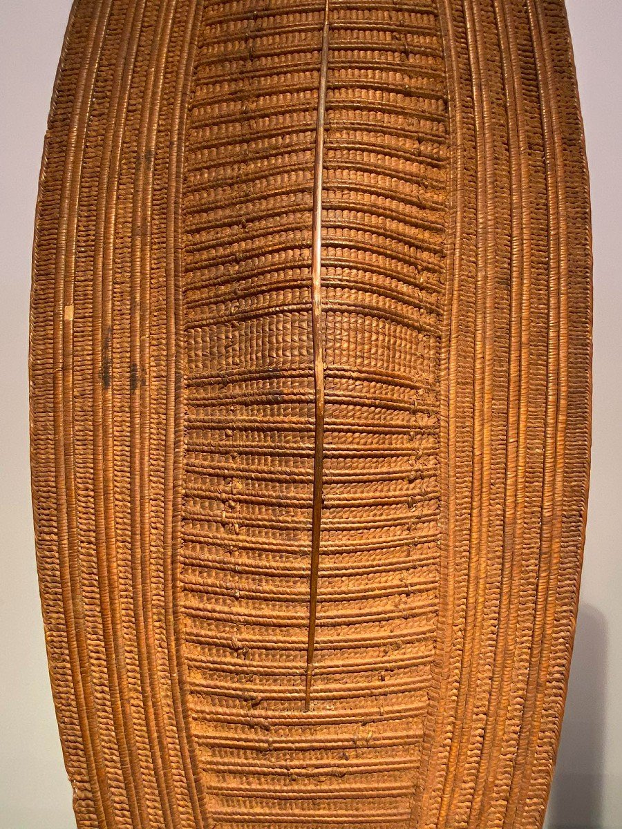 Exceptional Rare Ngiri Lobala Mabo Ngbaka Shield - Dr Congo - 19th Century - Museum Quality-photo-4