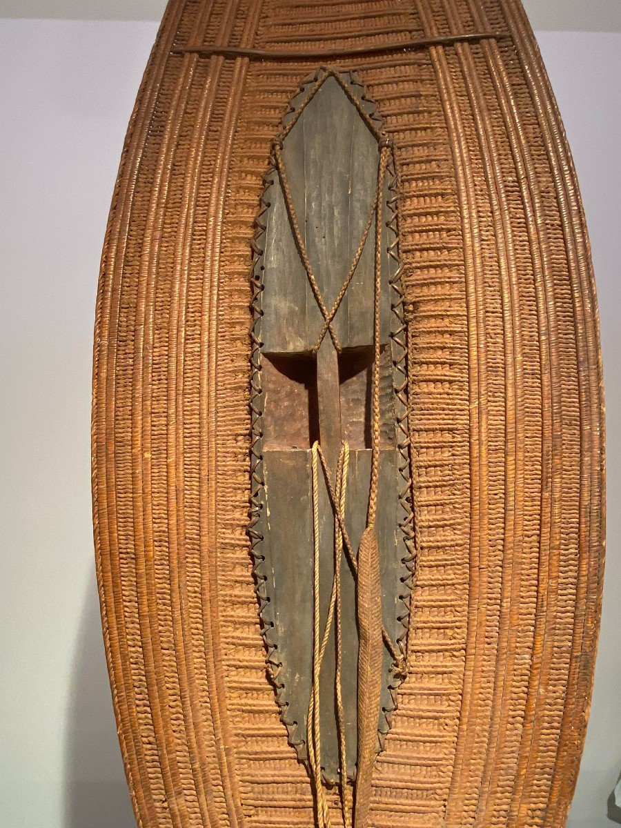 Exceptional Rare Ngiri Lobala Mabo Ngbaka Shield - Dr Congo - 19th Century - Museum Quality-photo-8