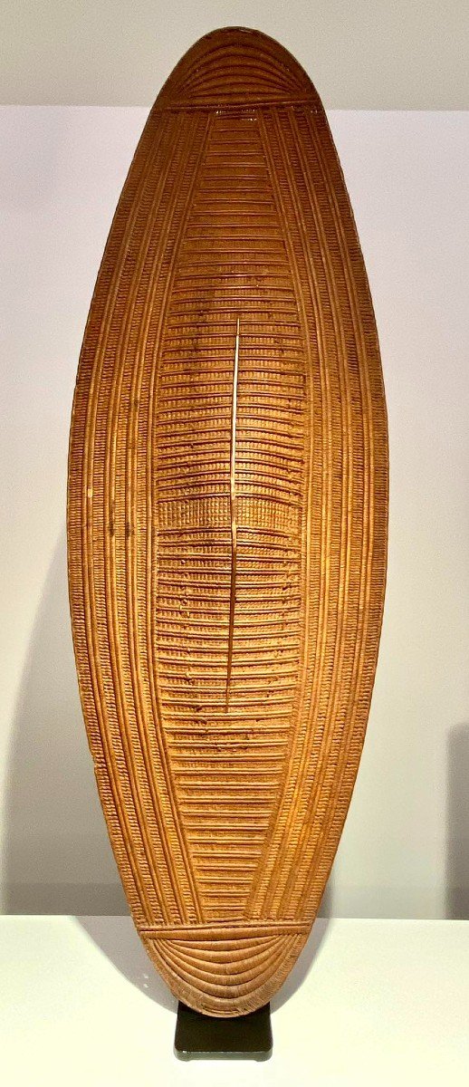 Exceptional Rare Ngiri Lobala Mabo Ngbaka Shield - Dr Congo - 19th Century - Museum Quality