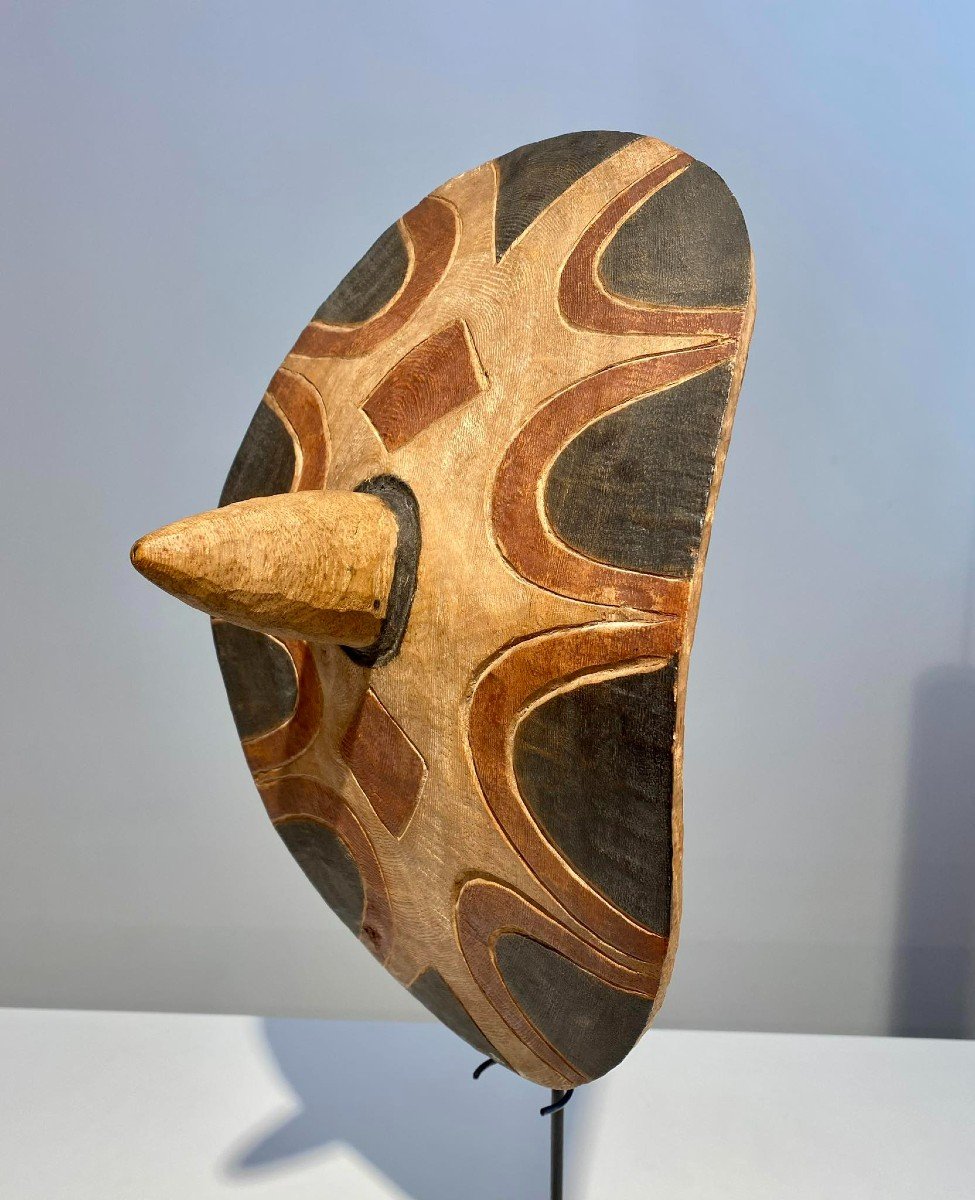 Tutsi Shield - Rwanda Burundi - African Art - Late 19th - Early 20th Century Not Congo-photo-1