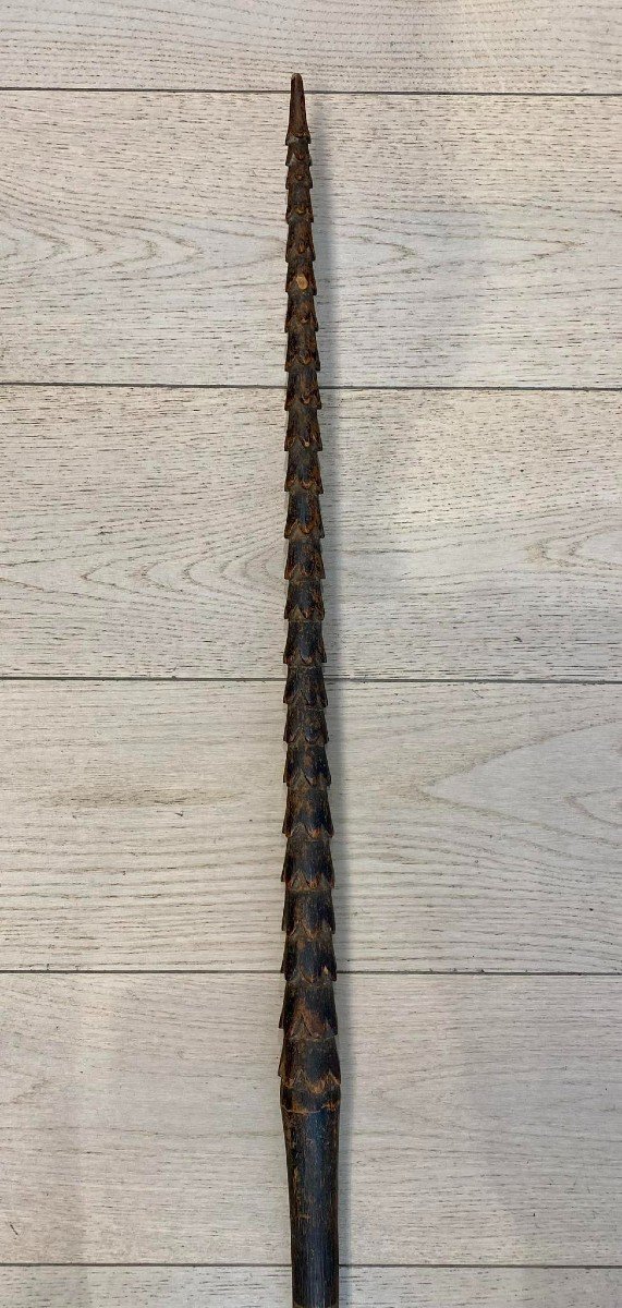 Old Spear Fiji Islands - Samoa - Tonga - Art Oceania Melanesia 19th Century 220 Cm Length -photo-6