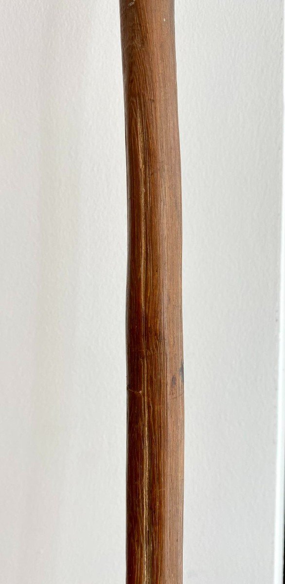 Old Spear Fiji Islands - Samoa - Tonga - Art Oceania Melanesia 19th Century 220 Cm Length -photo-8