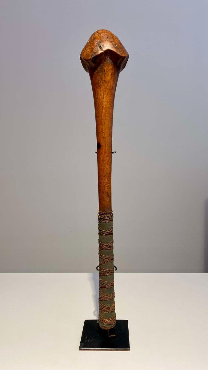 Kanak Tribe War Club - Oceania Tribal Art New Caledonia - 19th Century Melanesia-photo-4