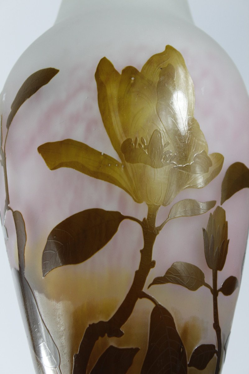 Vase Daum Nancy (magnolias)-photo-7