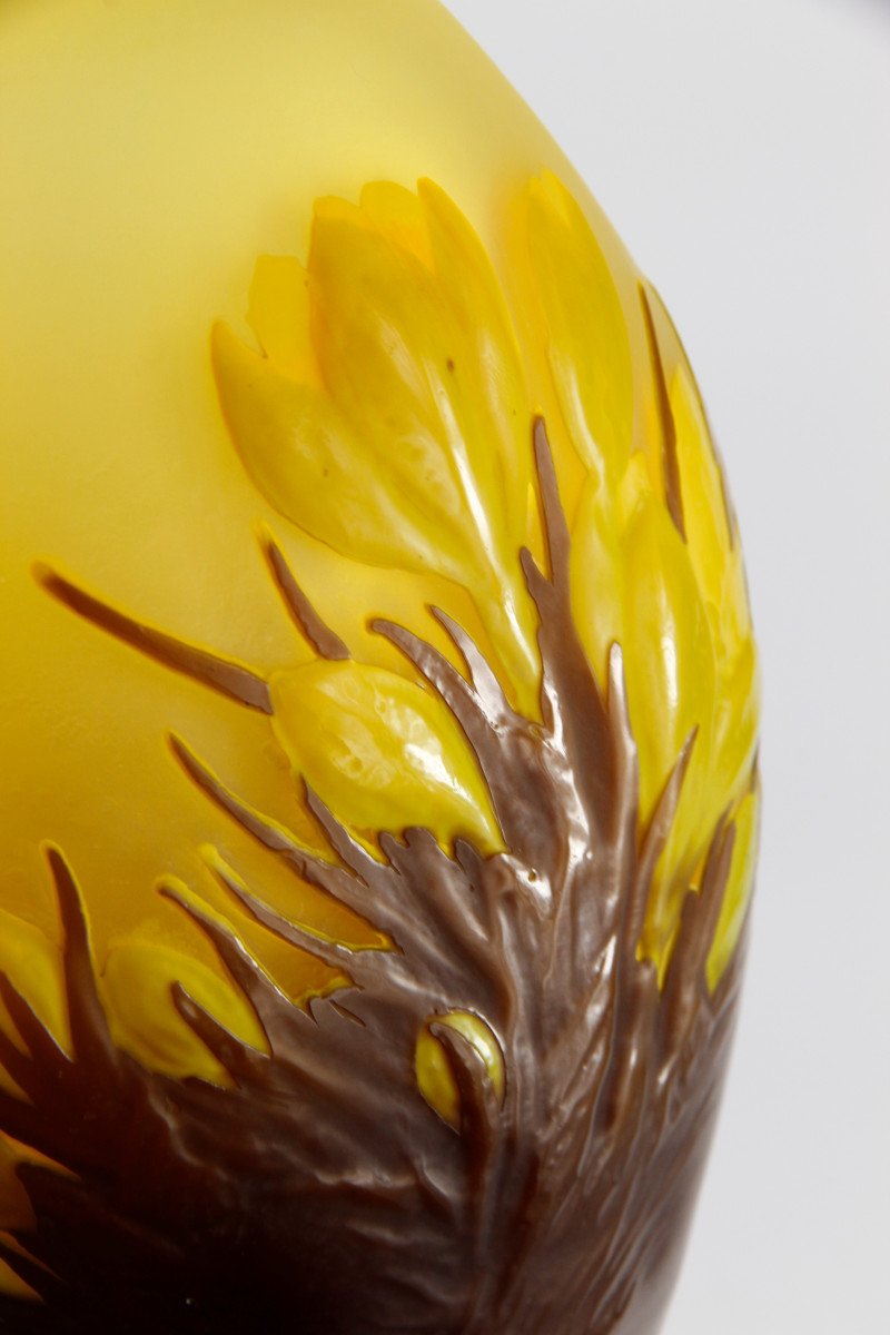 Gallé Vase (crocus Relief)-photo-6