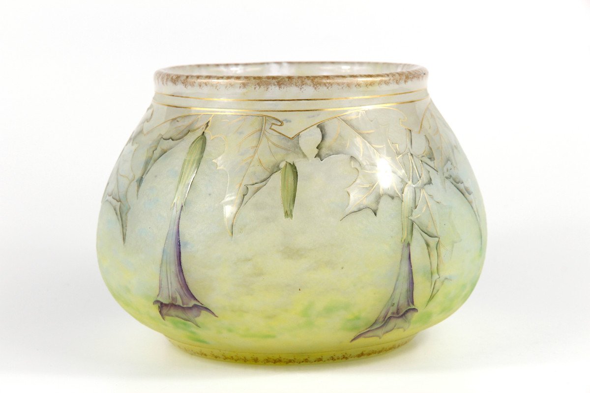 Daum Nancy Vase (datura)-photo-2