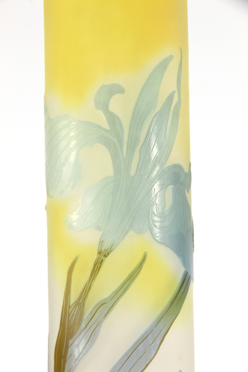 Gallé Vase (water Lilies & Iris)-photo-5