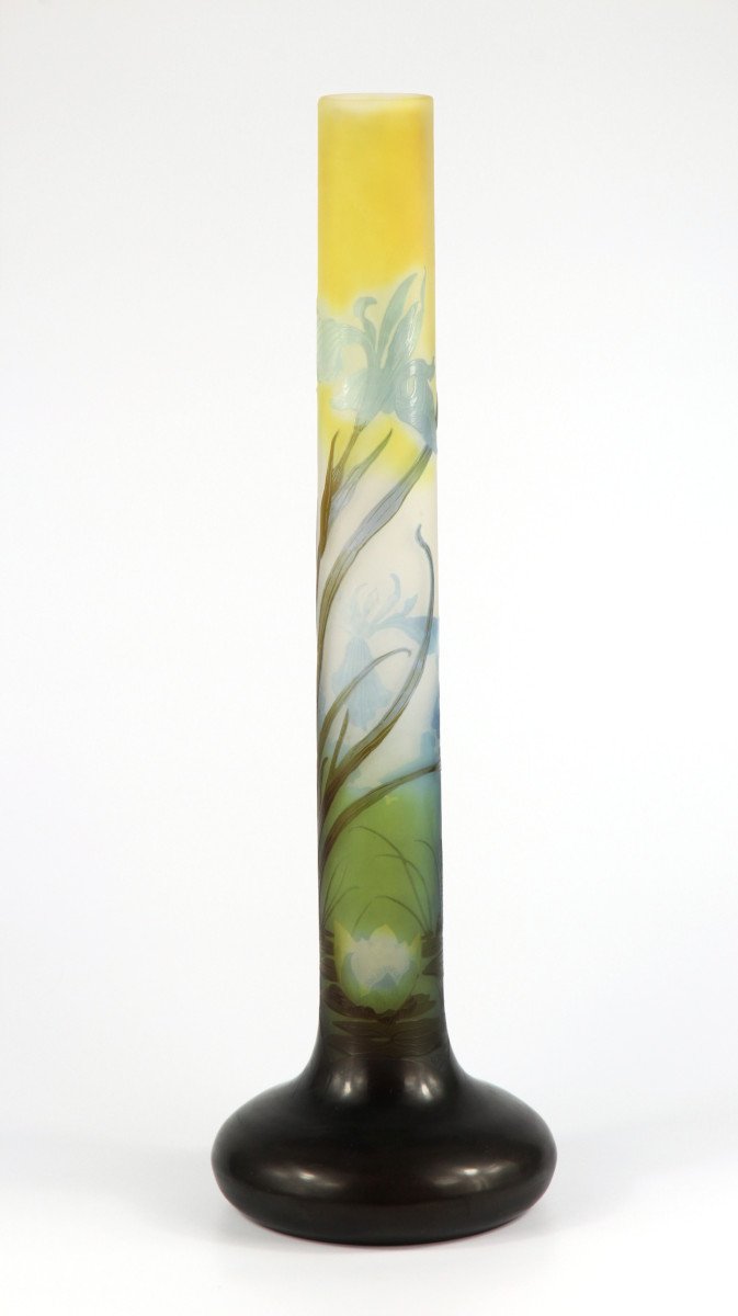 Gallé Vase (water Lilies & Iris)