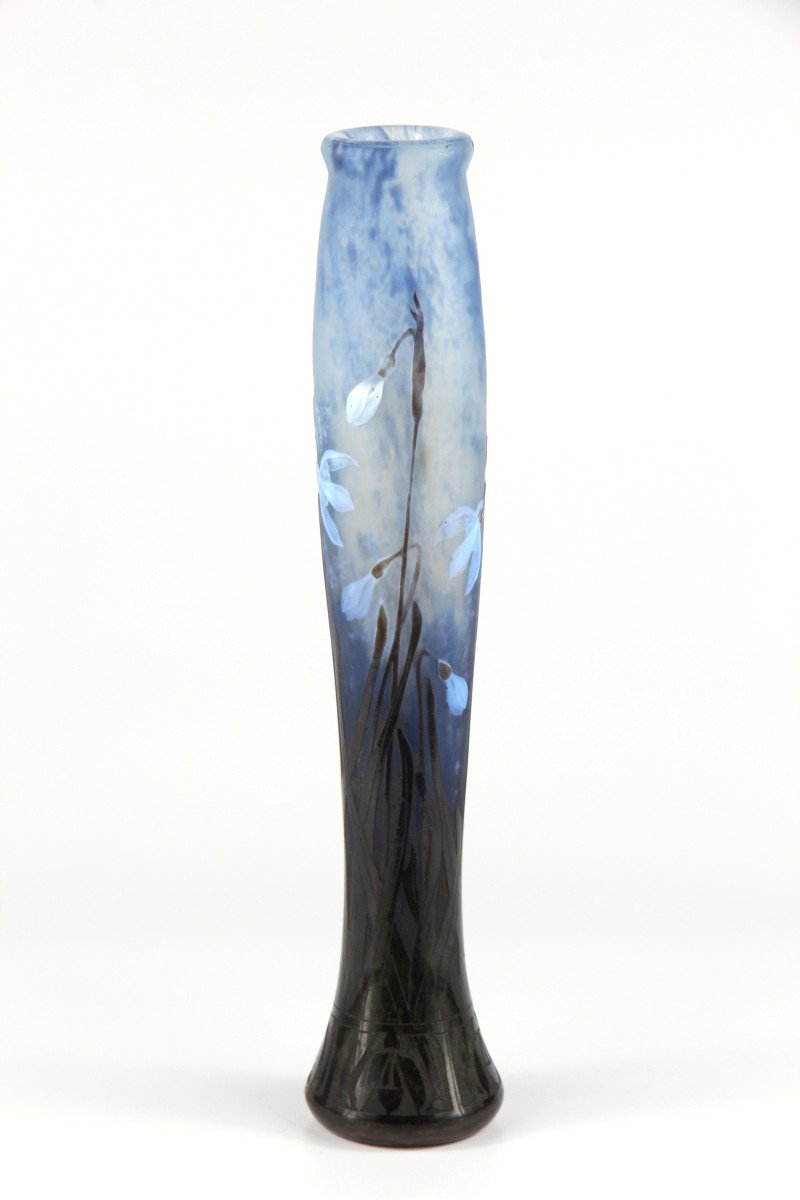 Vase Daum Nancy (perce-neige)-photo-3